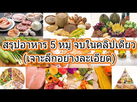 สรุปอาหาร 5 หมู่ จบในคลิปเดียว (เจาะลึกอย่างละเอียด)   |  HappyHealthDay