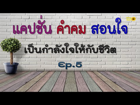 แคปชั่น คำคมสอนใจ  เป็นกำลังใจให้กับชีวิต Ep.5