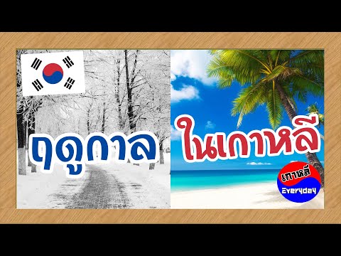 ฤดูกาลในเกาหลี | เกาหลี Everyday | 까우리 에브리데이