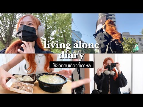 🇰🇷 living alone diary. ชีวิตมนุษย์ introvert ในเกาหลี/พาไปสวนสาธารณะในโซล/วันฮีลลิ่ง | Babyjingko