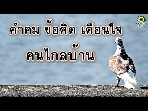 คำคม ข้อคิด เตือนใจ คนไกลบ้าน