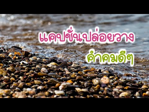 แคปชั่นปล่อยวาง | คำคมดีๆ