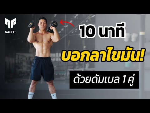 10 นาที ลดไขมัน กระชับกล้ามเนื้อ เน้นช่วงล่างและหน้าท้อง ด้วยดัมเบล 1 คู่ | Home Workout