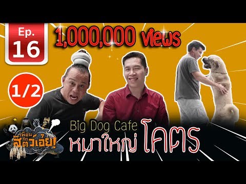 คาเฟ่หมาใหญ่ใจดี  [ BigDogCafe ] - เพื่อนรักสัตว์เอ๊ย l EP.16 I 1/2